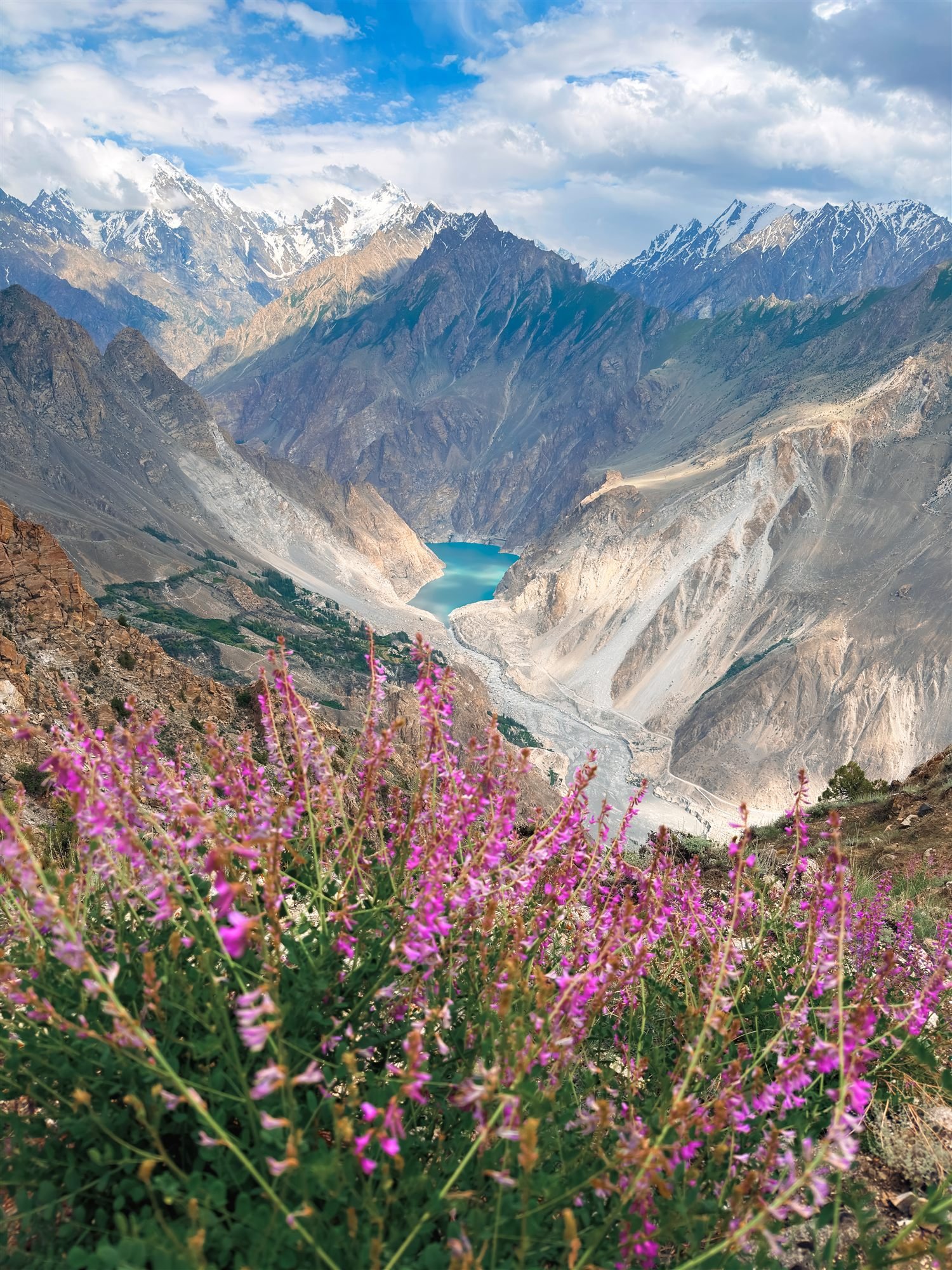 Attabad Lake framed by wildflowers on the slope above Gulmit