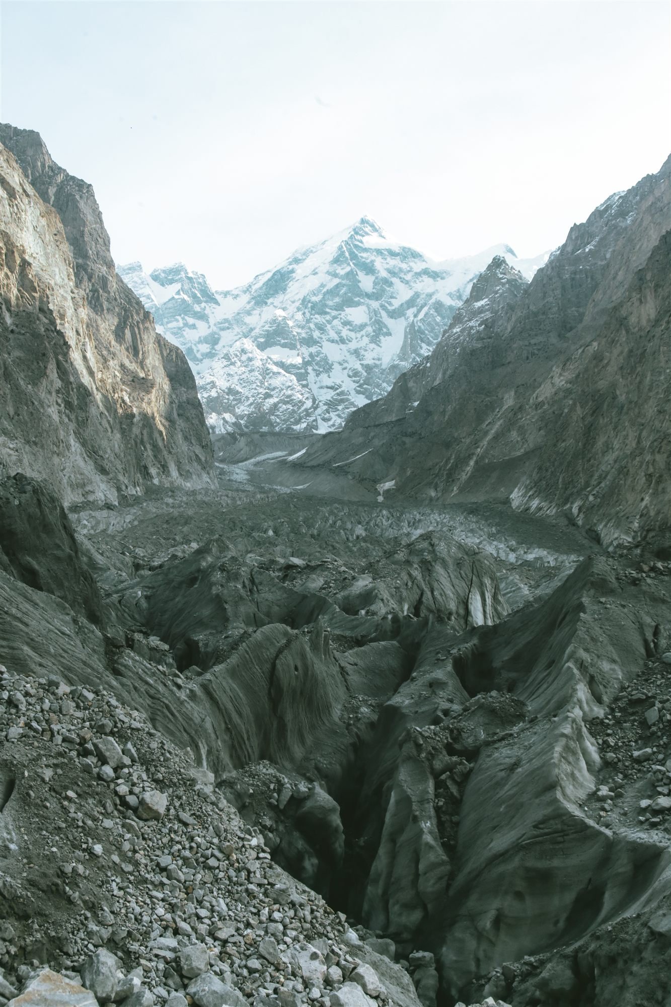 A cow grazing on a high pasture above Hunza with a snow peak behind